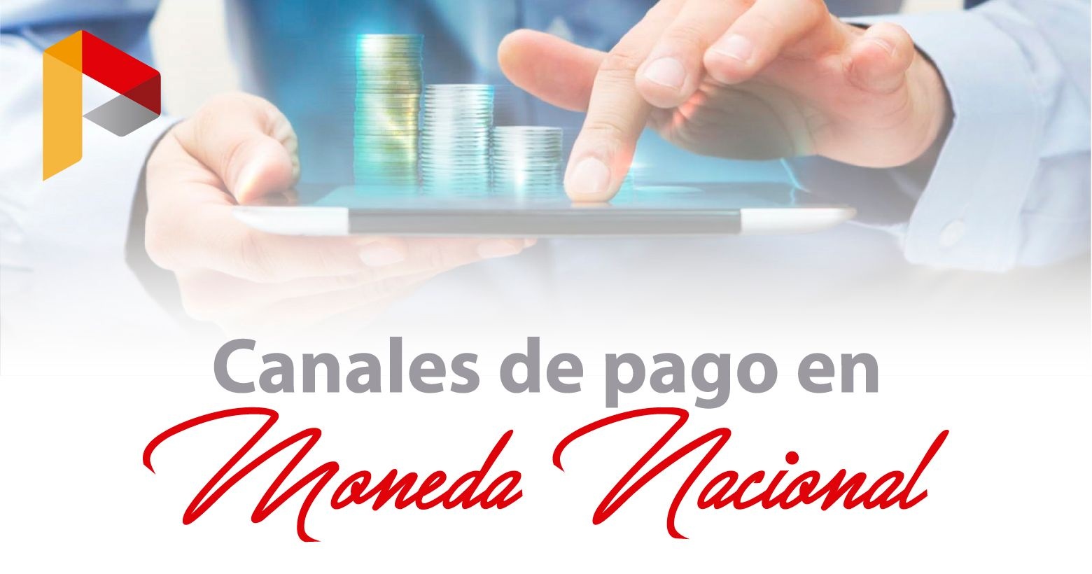 Canales de Pago en Moneda Nacional