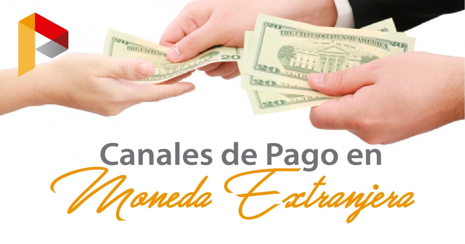Canales de Pago en Moneda Extranjera