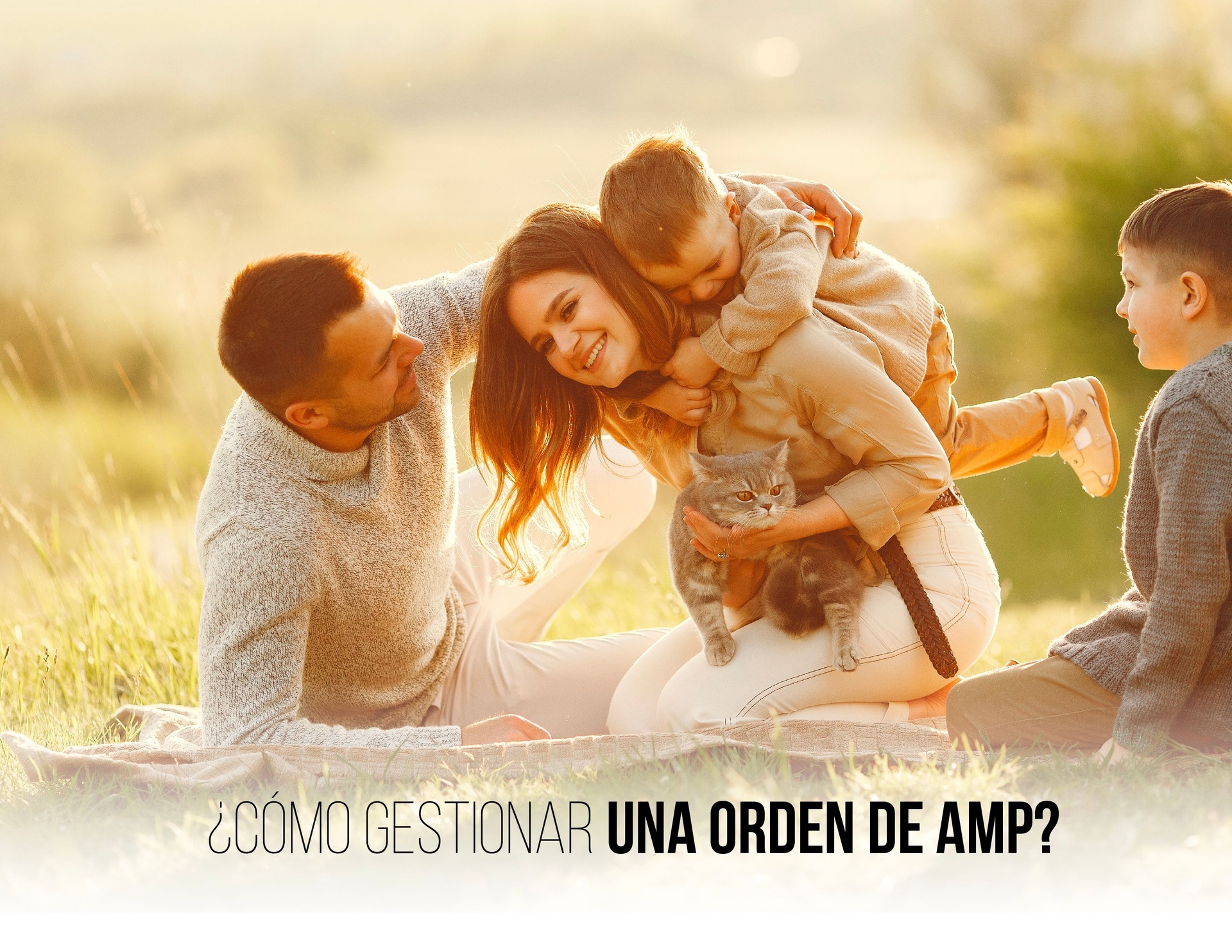 ¿Cómo gestionar una orden AMP?