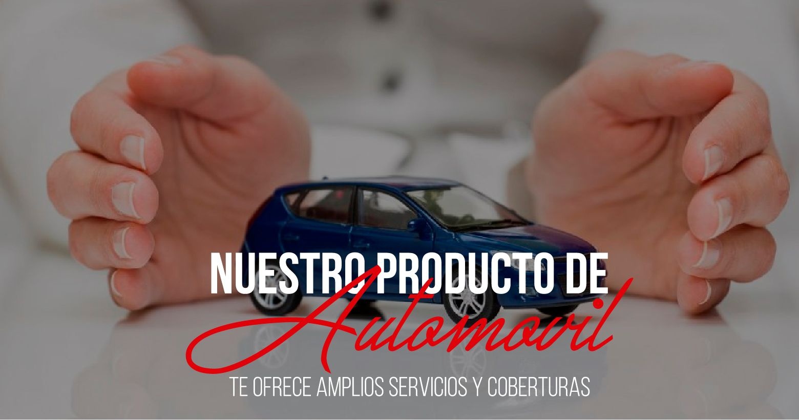 Nuestro Producto de Automóvil