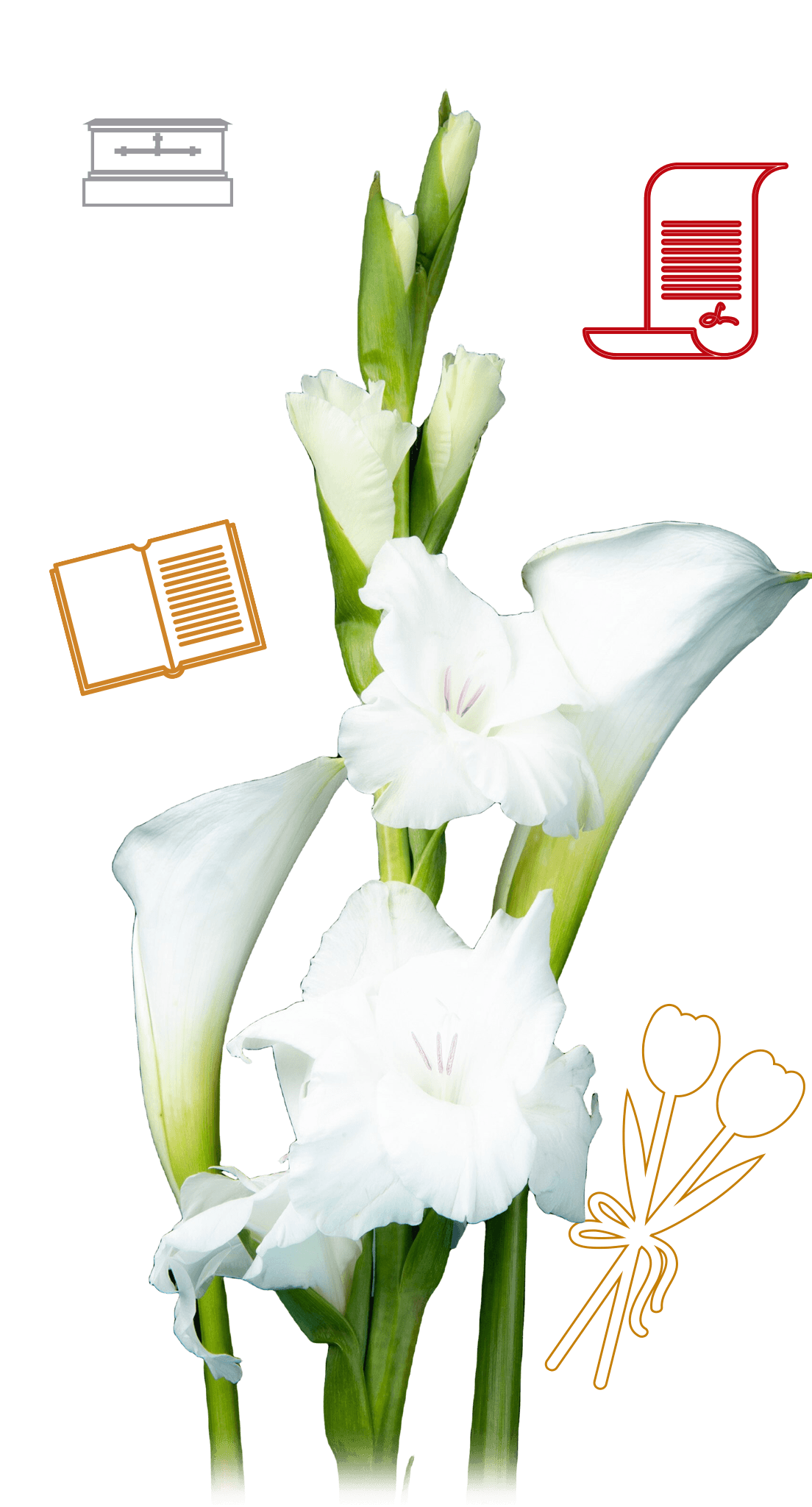 img about ¿Qué cubre nuestra póliza de Servicios Funerarios?